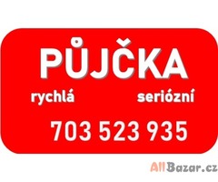 Soukromý investor půjčí ihned 703523935