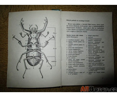 Kniha KAPESNÍ ATLAS BROUKŮ napsal a namaloval Vladimír Javorek. Zde foto.